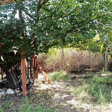 граничар 3 сърфа - морската каюта شاليه