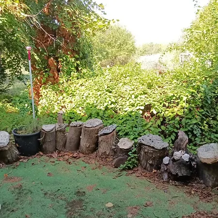 граничар 3 сърфа - морската каюта