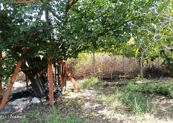 граничар 3 сърфа - морската каюта شاليه